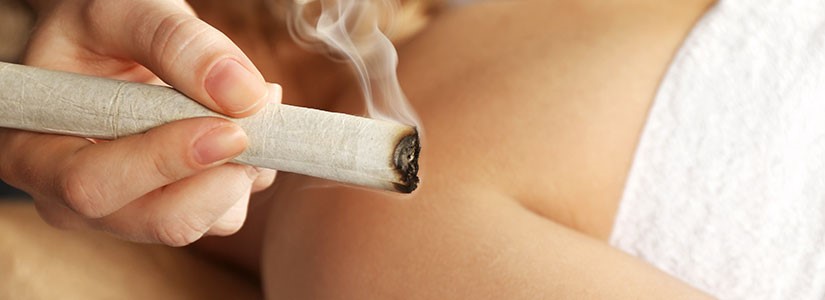 la planta artemisa es la herramienta natural de la moxibustión y se beneficia de sus propiedades curativas