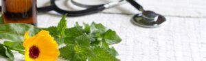 qué es la naturopatía